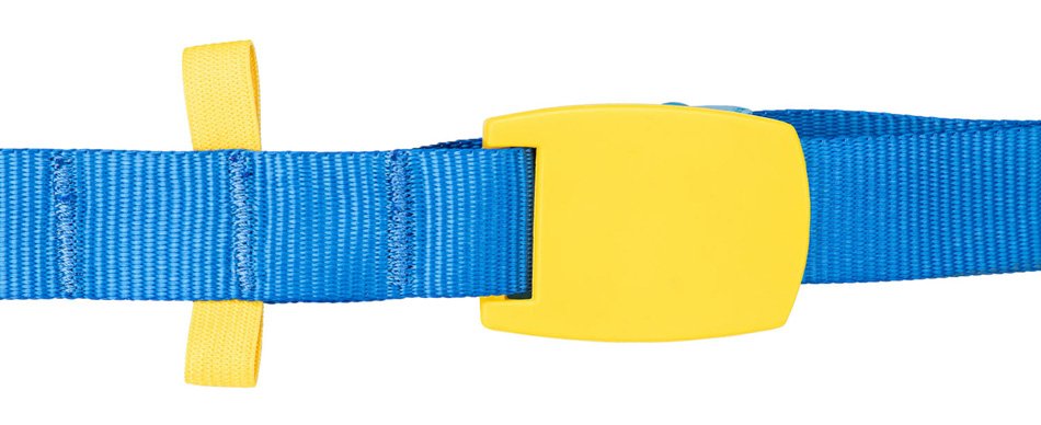 ALCA ιμάντας συγκράτησης 405310 με καστάνια, έως 200kg, 5m - Image 2