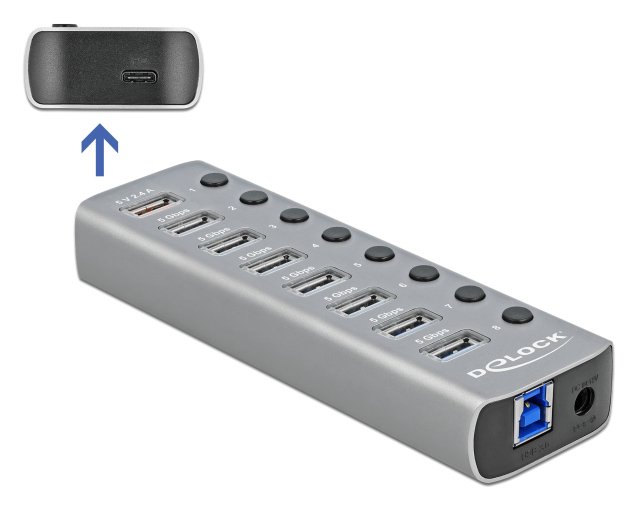 DELOCK USB hub 63264 με διακόπτες, 9x θυρών, 5Gbps, 12V/2.25A PD, γκρι