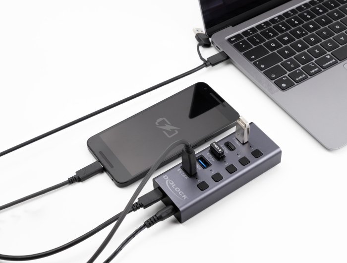 DELOCK USB hub 64248 με διακόπτες, 5x θυρών, 5Gbps, USB/USB-C σύνδεση, γκρι - Image 2