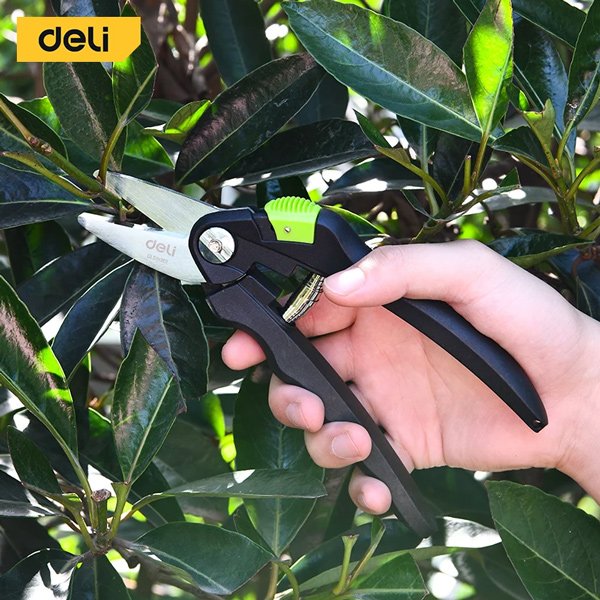 DELI κλαδευτήρι DL580101 με αντιολισθητική λαβή, Φ10mm, 200mm - Image 2