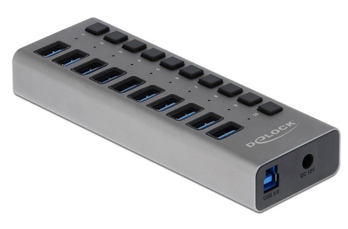 DELOCK USB hub  με διακόπτες, 10x θυρών, 5Gbps, γκρι 3432