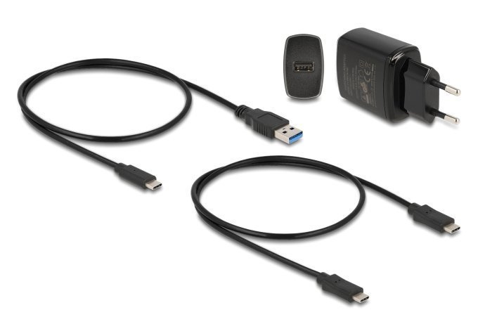 DELOCK docking station για M.2 NVMe SSD , 2 θέσεων, 10Gbps, clone function, μαύρο 7266 - Image 5