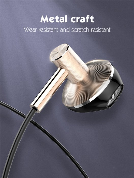 Earphones