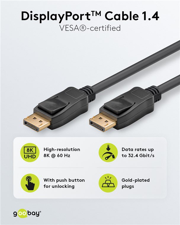 DisplayPort 1