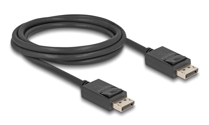 DisplayPort 1