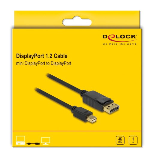 DisplayPort Mini 1