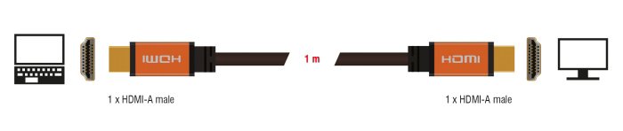 HDMI 1
