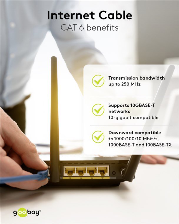 Cat 6
