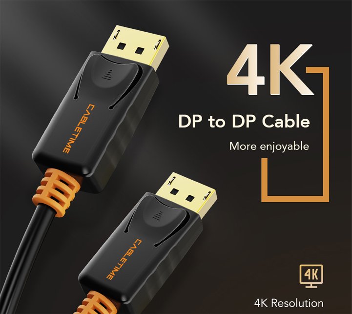 DisplayPort 1