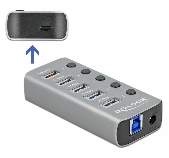 DELOCK USB hub  με διακόπτες, 6x θυρών, 5Gbps, 12V/2.25A PD, γκρι 2712