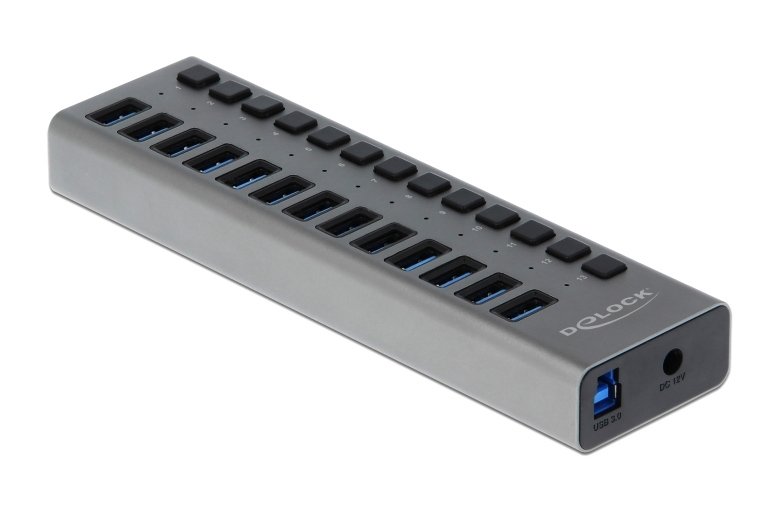 DELOCK USB hub  με διακόπτες, 13x θυρών, 5Gbps, γκρι 3073