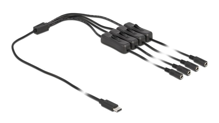 DELOCK καλώδιο USB Type-C σε 4x DC 5.5 x 2.1mm , 1m, μαύρο 3318