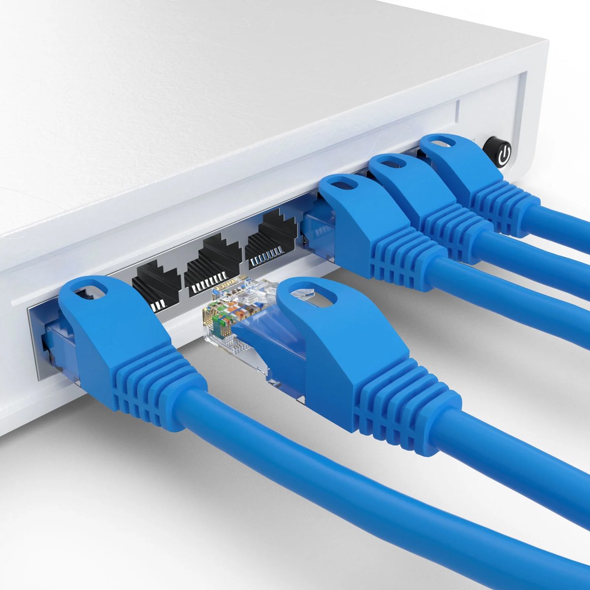 Cat 6