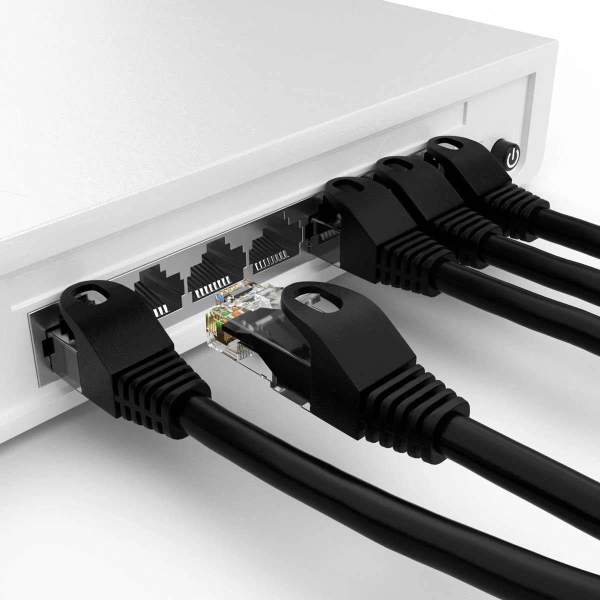 Cat 6