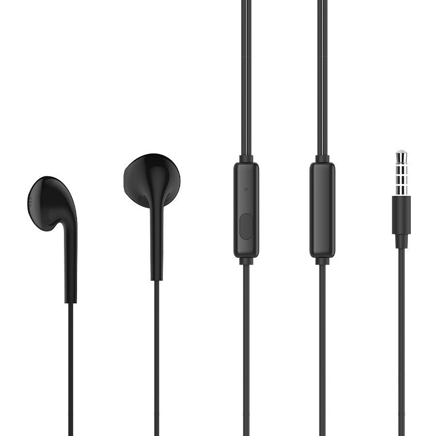 Earphones