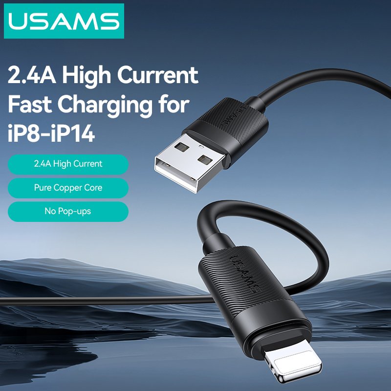 USB Type-A 1